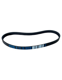 Correa lavadora Wp plana canales.