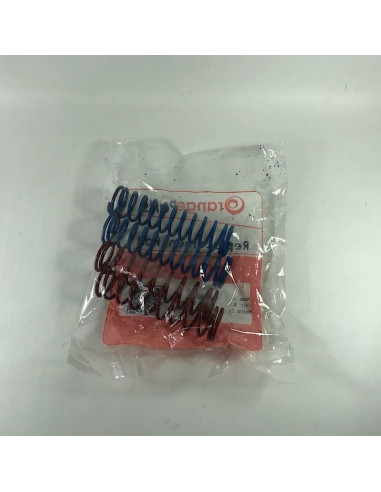 Juego de amortiguador amazonas