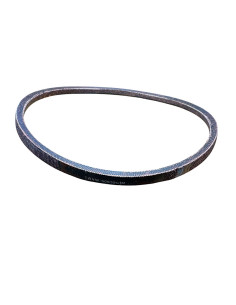 Correa Electrolux M 23, EZ575-BVW-50639C.