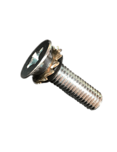 Tornillo LG Grande con arandela y oring.